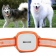 GPS трекер для собак GT011