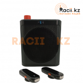 Беспроводная система громкоговоритель W1N 25H