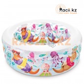 Надувной бассейн Intex 58480NP 