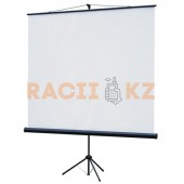 Экран для проектора на штативе 2438х1830 мм