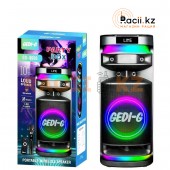 Портативная акустическая система GD-9006
