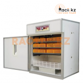 Инкубатор автоматический Tacosa Умница на 528 яйца